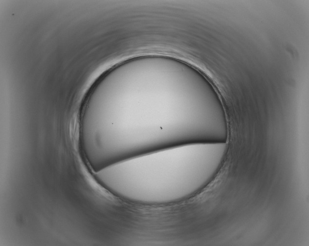X0000112431515200908141100