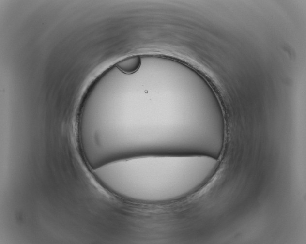 X0000112431517200908141100