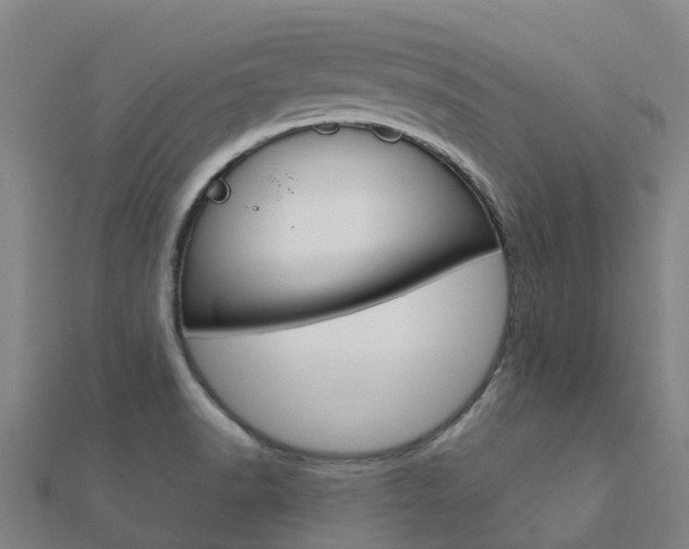 X0000112431518200908141100