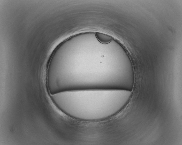 X0000112431519200908141100