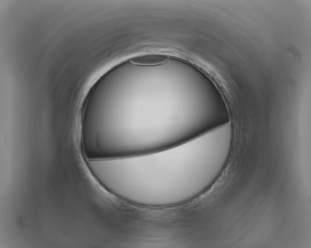 X0000112431520200908141100