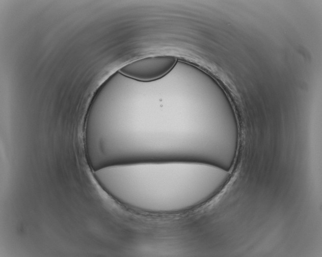 X0000112431521200908141100