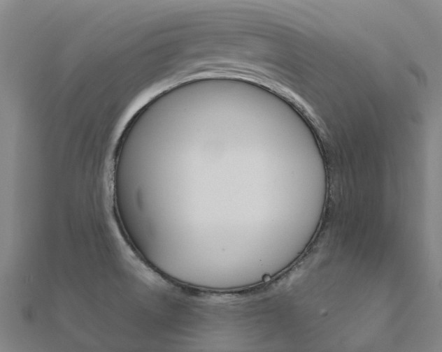 X0000112431522200908141100