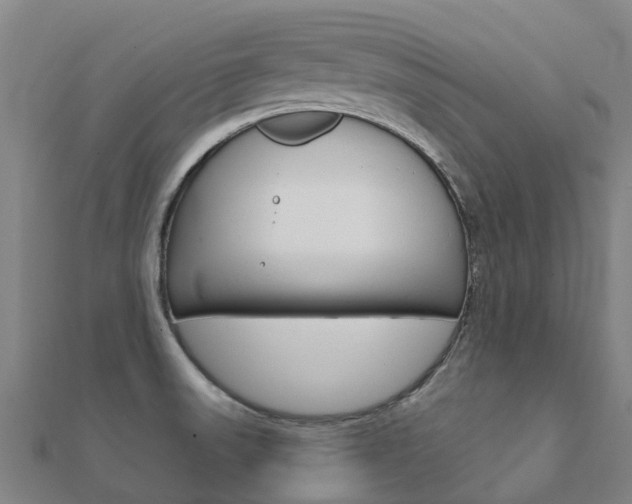 X0000112431523200908141100
