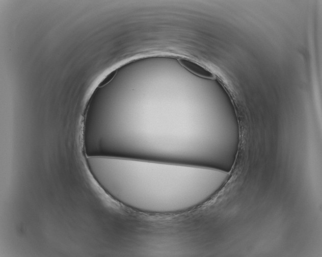 X0000112431524200908141100
