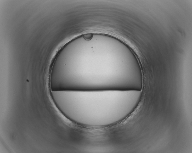 X0000112431525200908141100