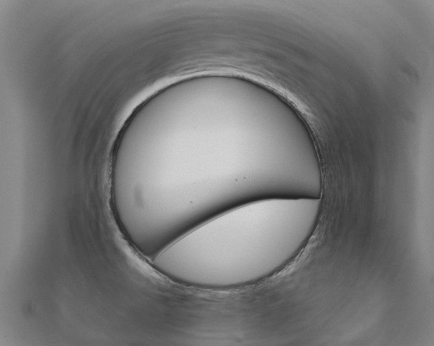 X0000112431526200908141100