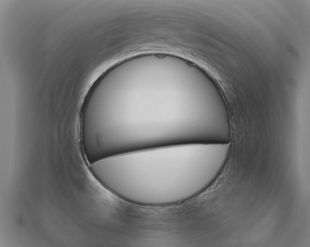 X0000112431527200908141100
