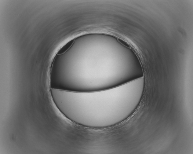 X0000112431528200908141100
