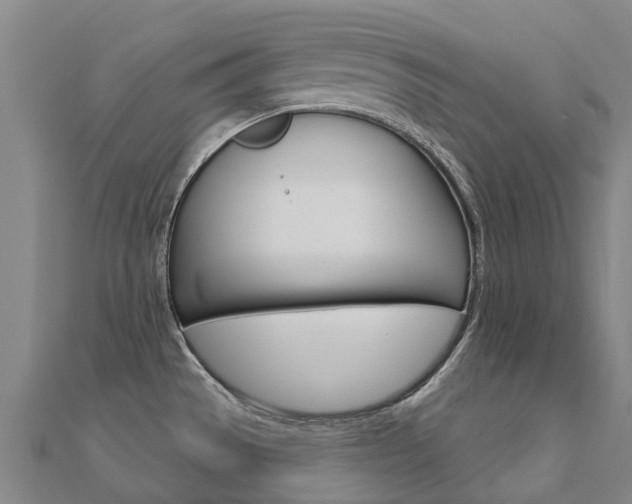 X0000112431529200908141100
