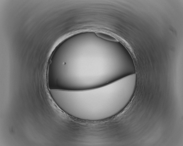 X0000112431530200908141100