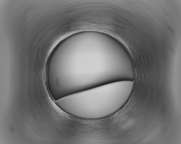 X0000112431531200908141100