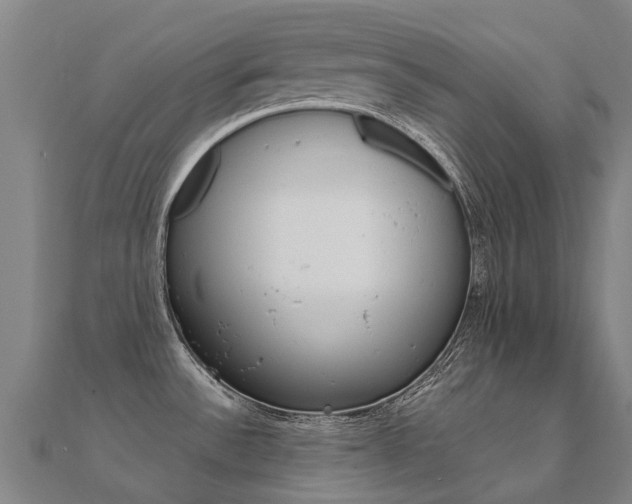 X0000112431532200908141100