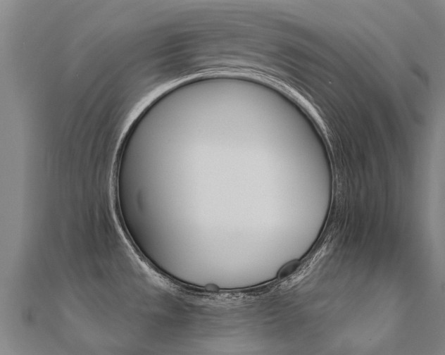 X0000112431533200908141100