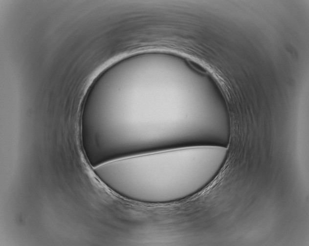 X0000112431534200908141100
