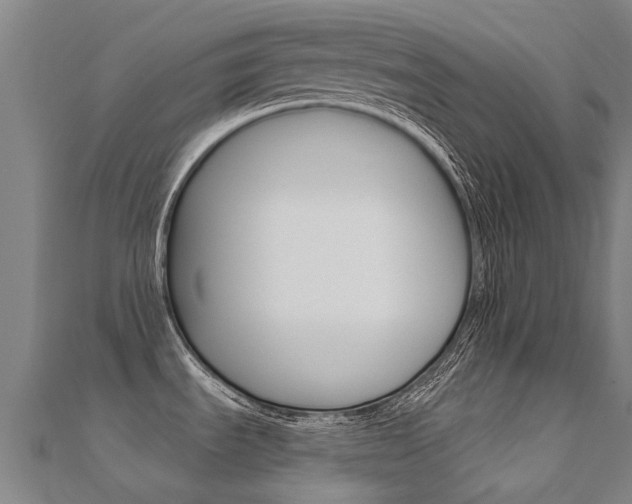 X0000112431535200908141100