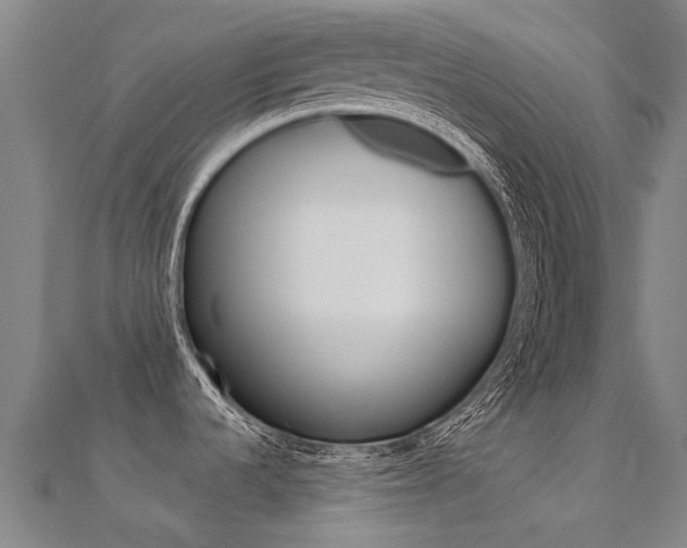 X0000112431536200908141100