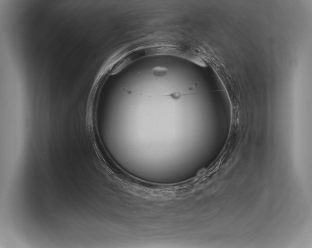 X0000112430004200908141440