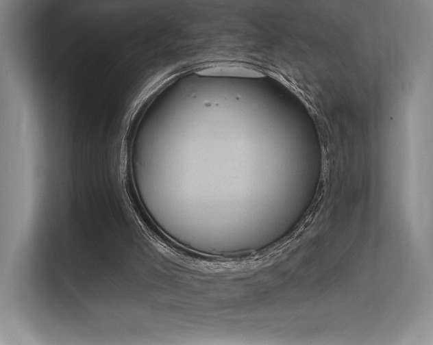 X0000112430005200908141440