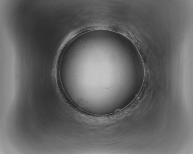 X0000112430006200908141440