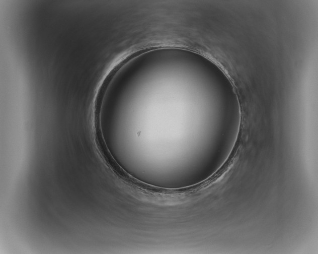 X0000112430008200908141440