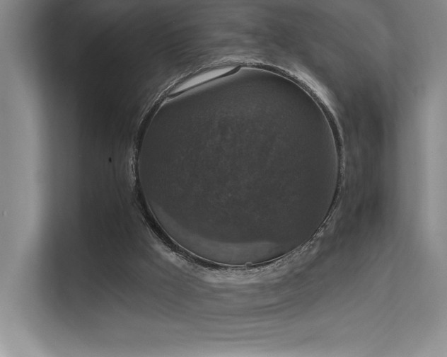 X0000112430009200908141440
