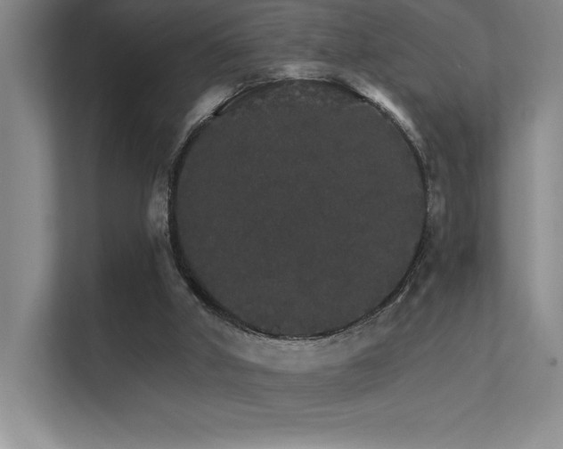 X0000112430010200908141440