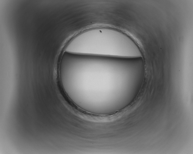 X0000112430015200908141440