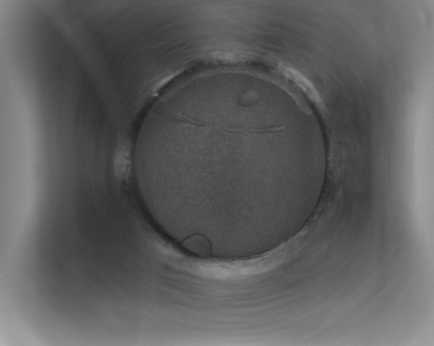 X0000112430017200908141440