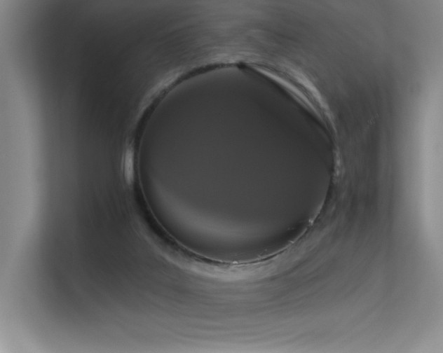 X0000112430019200908141440