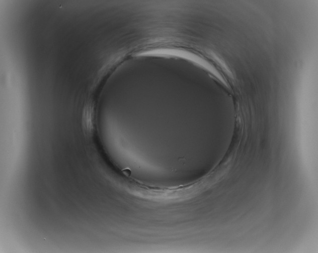 X0000112430023200908141440
