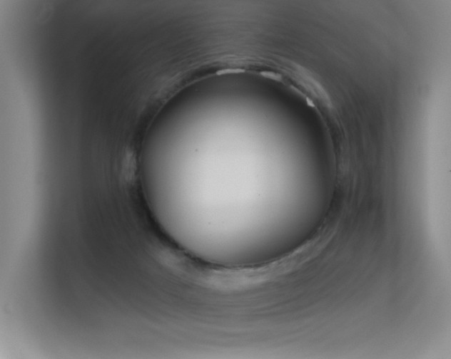 X0000112430025200908141440