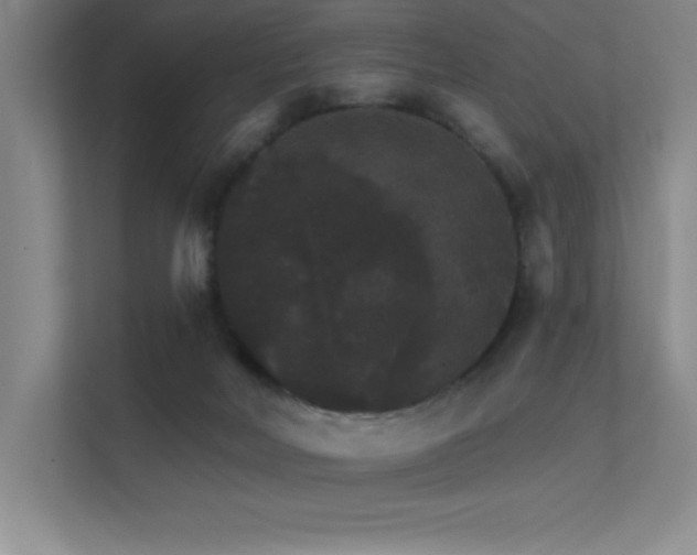 X0000112430026200908141440