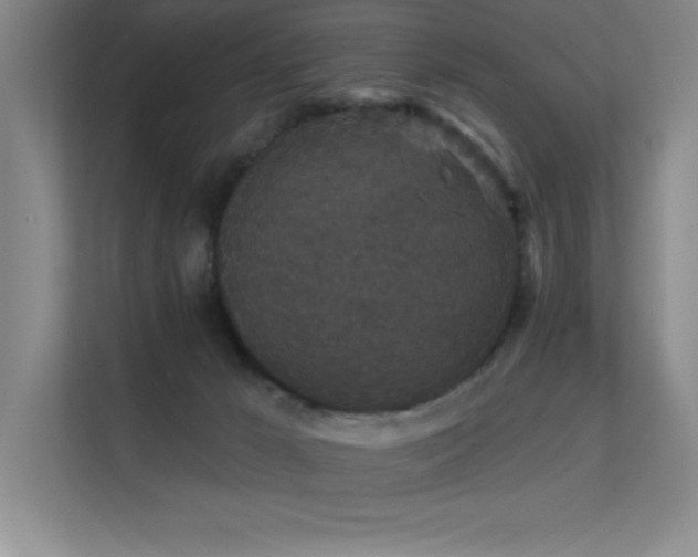 X0000112430029200908141440