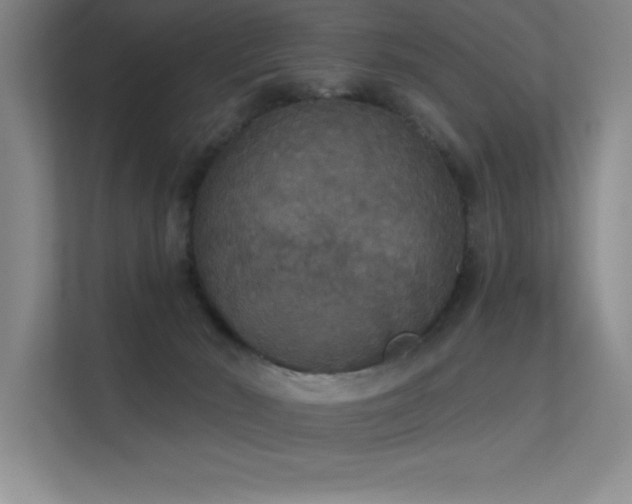 X0000112430030200908141440