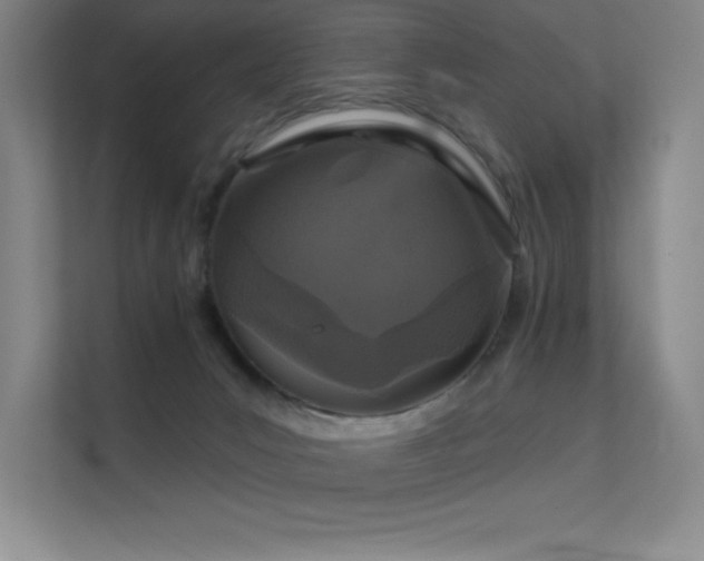 X0000112430031200908141440