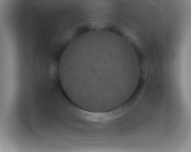 X0000112430034200908141440