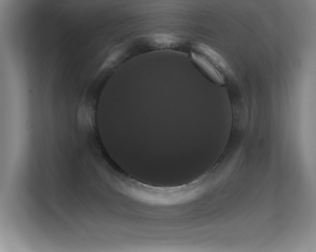 X0000112430035200908141440