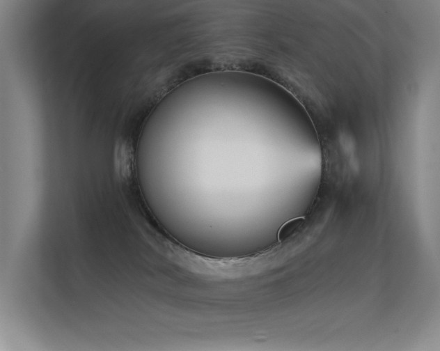 X0000112430038200908141440