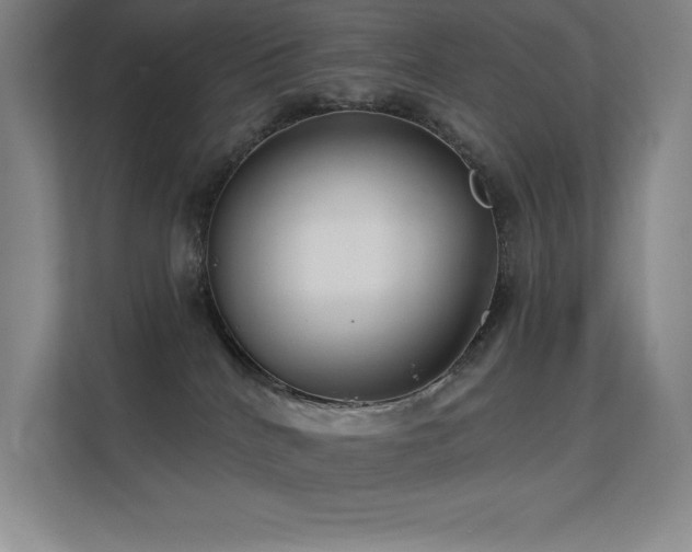 X0000112430040200908141440