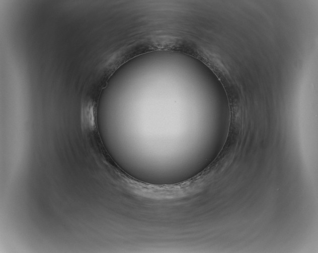 X0000112430042200908141440