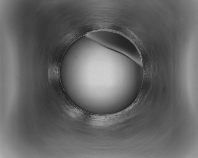 X0000112430045200908141440