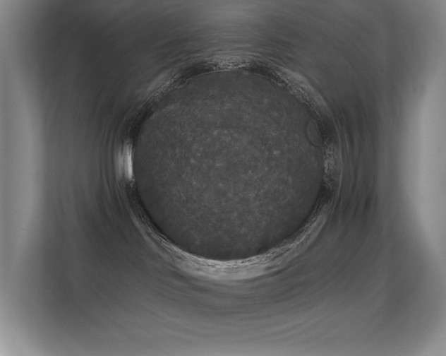 X0000112430046200908141440