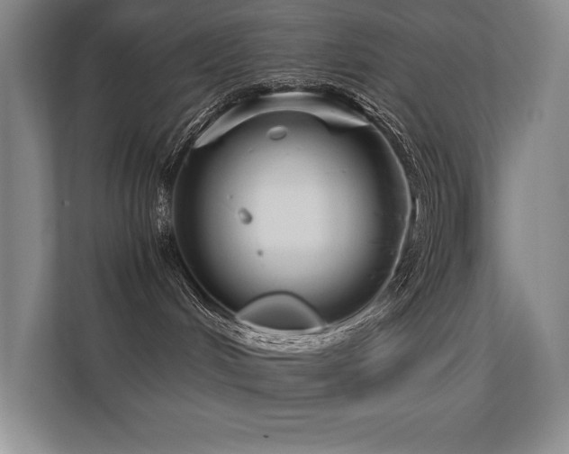 X0000112430048200908141439