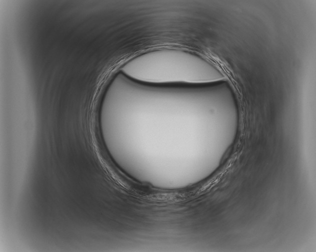 X0000112430049200908141439