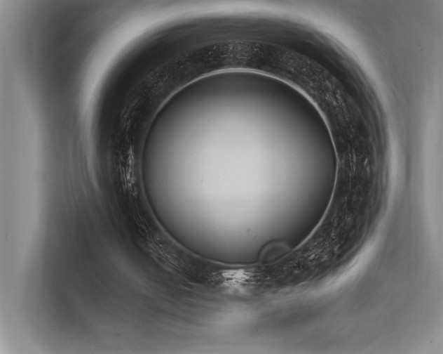 X0000112430050200908141439