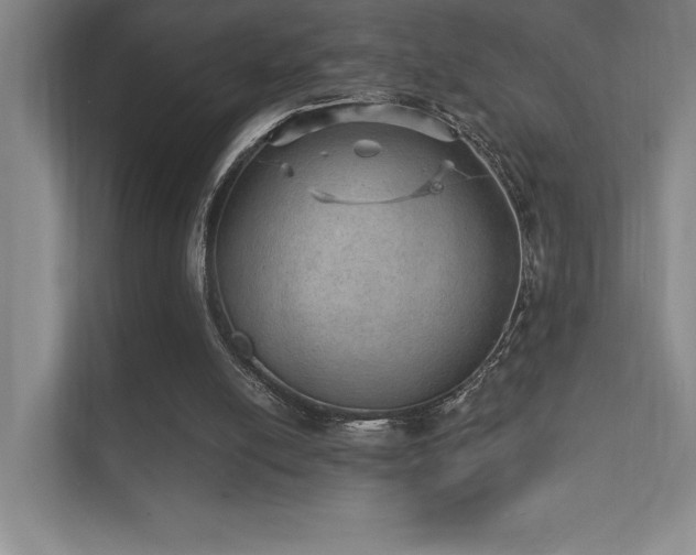 X0000112430054200908141439