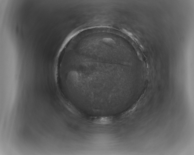 X0000112430056200908141439