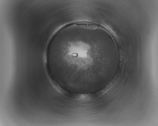 X0000112430060200908141439