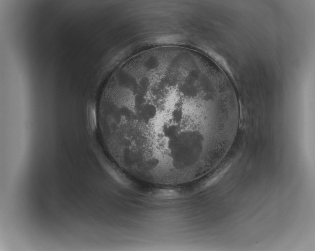 X0000112430061200908141439